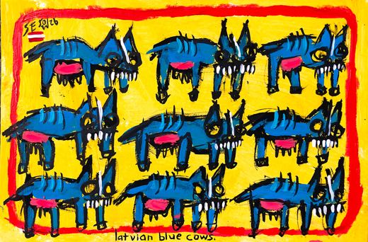 latvian blue cows