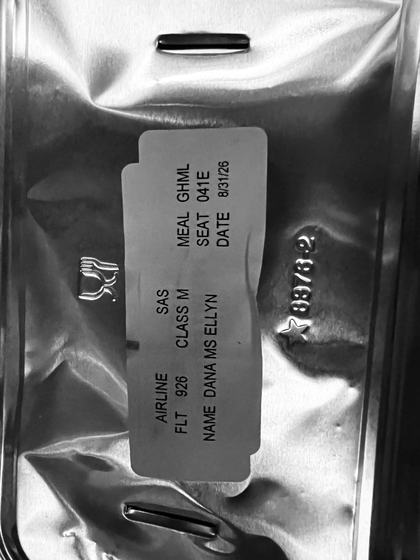 Seat 41E