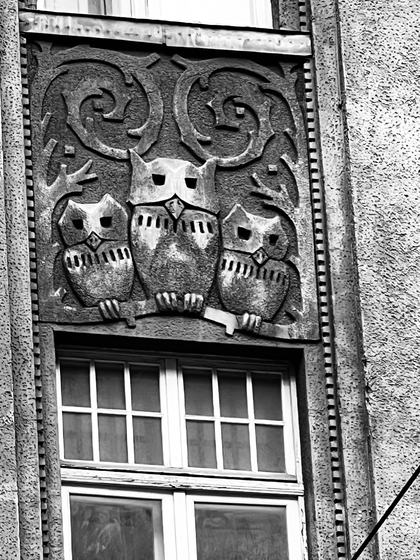 Three owls