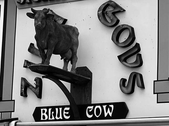 BLUE COW