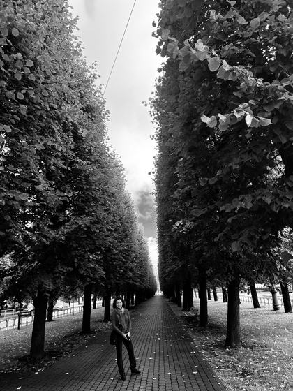 The linden alley